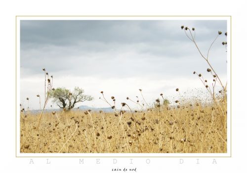 Fotografia de Nelson V�zquez - Galeria Fotografica: Paisajes - Foto: Al medio dia