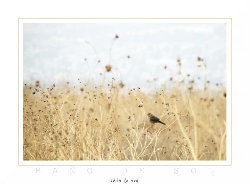 Fotografia de Nelson Vzquez - Galeria Fotografica: Paisajes - Foto: Bajo el sol