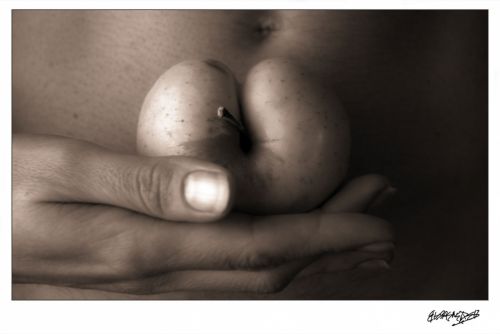 Fotografia de barrenetxea - Galeria Fotografica: Haragizko amoreetaz - Foto: 