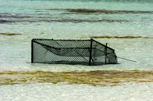 Fotografia de Fernando - Galeria Fotografica: Paraiso - Foto: 