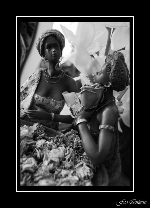 Fotografia de platero - Galeria Fotografica: en blanco y negro - Foto: 