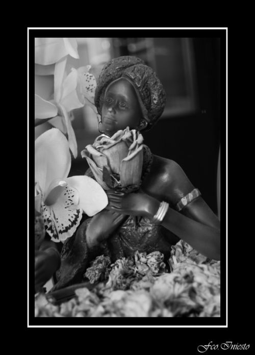 Fotografia de platero - Galeria Fotografica: en blanco y negro - Foto: 