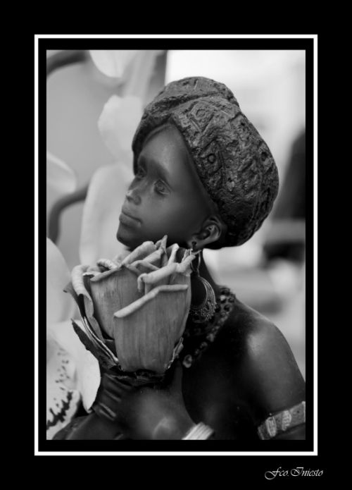 Fotografia de platero - Galeria Fotografica: en blanco y negro - Foto: 