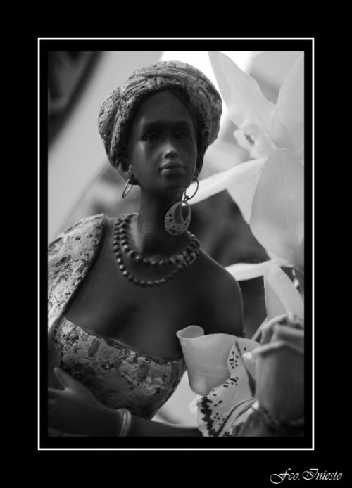 Fotografia de platero - Galeria Fotografica: en blanco y negro - Foto: 