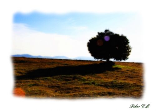 Fotografia de Pilar Camacho - Galeria Fotografica: PINCELADAS - Foto: SMBRA