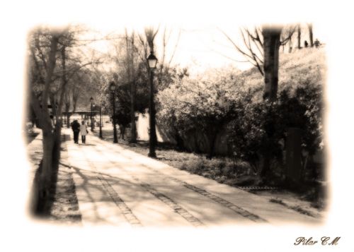 Fotografia de Pilar Camacho - Galeria Fotografica: PINCELADAS - Foto: PASEO