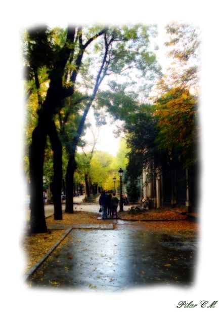 Fotografia de Pilar Camacho - Galeria Fotografica: PINCELADAS - Foto: 