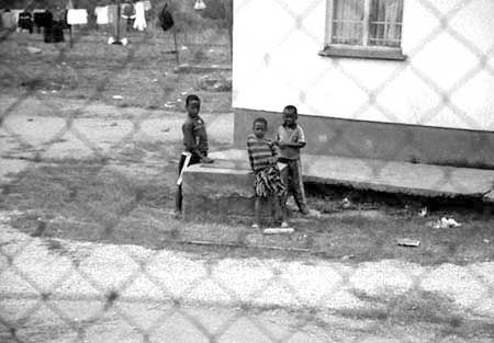 Fotografia de Artymage - Galeria Fotografica: Sudafrica - Foto: 