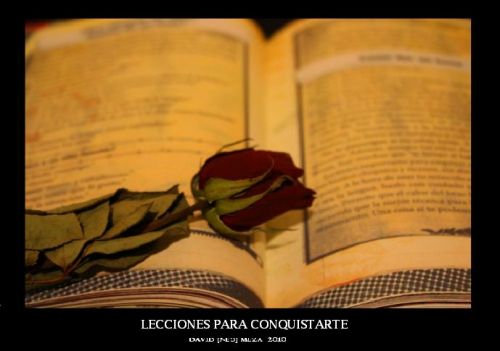 Fotografia de --�-�NΣؕ-�-- - Galeria Fotografica: Neo Galer�a [Fotograf�a Art�stica] - Foto: 