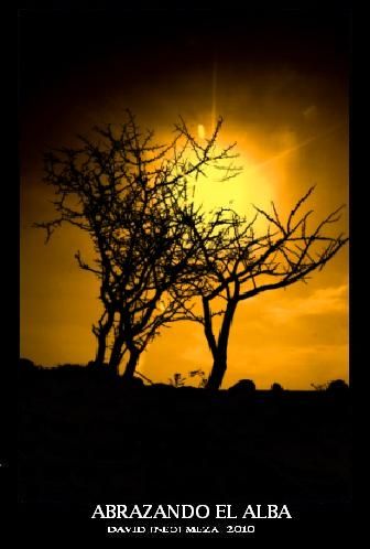 Fotografia de ---N&#931;ؕ--- - Galeria Fotografica: Neo Galera [Fotografa Artstica] - Foto: 