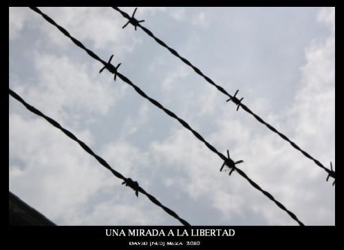 Fotografia de ---N&#931;ؕ--- - Galeria Fotografica: Neo Galera [Fotografa Artstica] - Foto: 