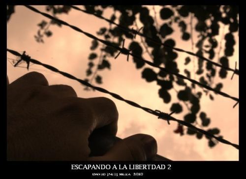 Fotografia de ---N&#931;ؕ--- - Galeria Fotografica: Neo Galera [Fotografa Artstica] - Foto: 