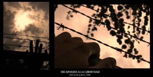 Fotografia de ---N&#931;ؕ--- - Galeria Fotografica: Neo Galera [Fotografa Artstica] - Foto: 