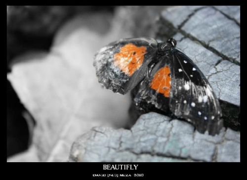 Fotografia de ---N&#931;ؕ--- - Galeria Fotografica: Neo Galera [Fotografa Artstica] - Foto: 