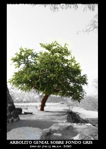 Fotografia de ---N&#931;ؕ--- - Galeria Fotografica: Neo Galera [Fotografa Artstica] - Foto: 