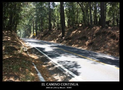 Fotografia de ---N&#931;ؕ--- - Galeria Fotografica: Neo Galera [Fotografa Artstica] - Foto: 