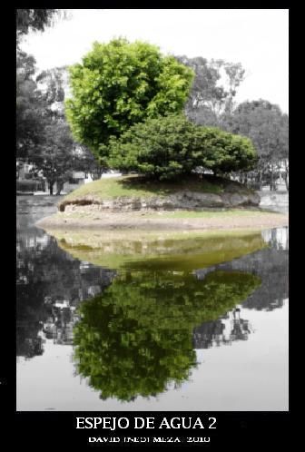 Fotografia de ---N&#931;ؕ--- - Galeria Fotografica: Neo Galera [Fotografa Artstica] - Foto: 