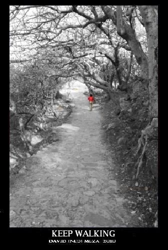 Fotografia de --�-�NΣؕ-�-- - Galeria Fotografica: Neo Galer�a [Fotograf�a Art�stica] - Foto: 