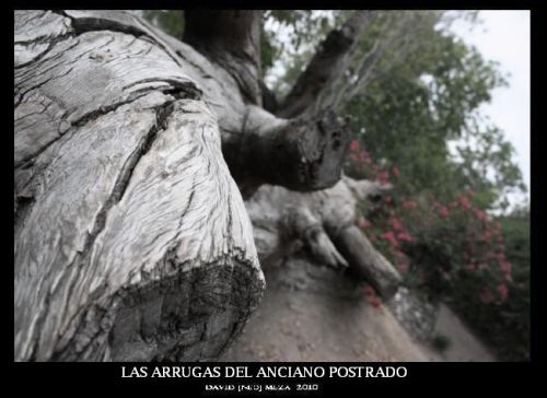 Fotografia de ---N&#931;ؕ--- - Galeria Fotografica: Neo Galera [Fotografa Artstica] - Foto: 