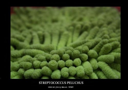 Fotografia de ---N&#931;ؕ--- - Galeria Fotografica: Neo Galera [Fotografa Artstica] - Foto: 