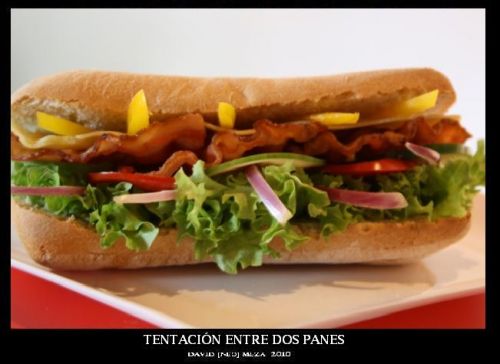 Fotografia de --�-�NΣؕ-�-- - Galeria Fotografica: Neo Galer�a [Fotograf�a Art�stica] - Foto: 