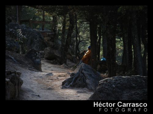 Fotografia de HECTOR CARRASCO - Galeria Fotografica: Ferrocarril Chihuahua-Pacfico (ChePe) - Foto: Mujer Tarahumara