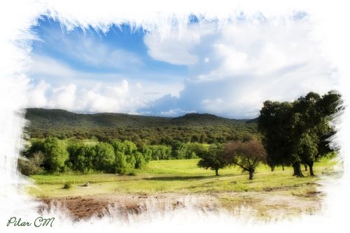 Fotografia de Pilar Camacho - Galeria Fotografica: PINCELADAS - Foto: 