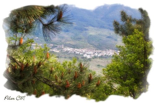 Fotografia de Pilar Camacho - Galeria Fotografica: PINCELADAS - Foto: 