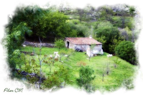 Fotografia de Pilar Camacho - Galeria Fotografica: PINCELADAS - Foto: 