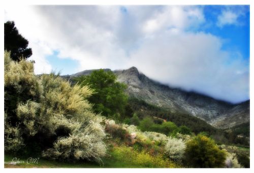 Fotografia de Pilar Camacho - Galeria Fotografica: PINCELADAS - Foto: 