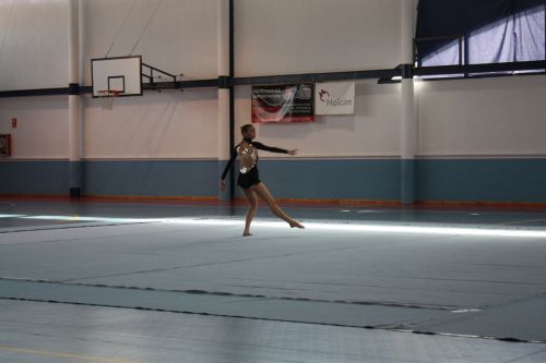 Fotografia de Maria Teresa - Galeria Fotografica: exhibicin - Foto: 