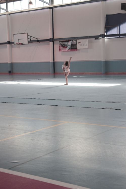 Fotografia de Maria Teresa - Galeria Fotografica: exhibicin - Foto: 