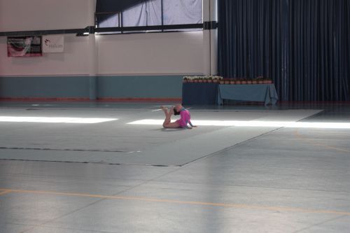 Fotografia de Maria Teresa - Galeria Fotografica: exhibicin - Foto: 