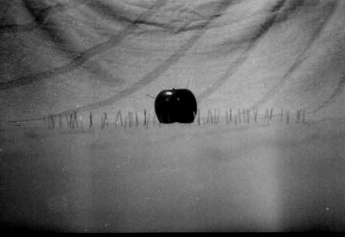 Fotografia de Joaqun Martnez - Galeria Fotografica: Fantasa - Foto: Heridas