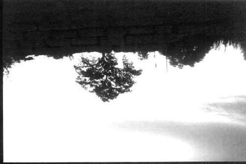 Fotografia de Joaqun Martnez - Galeria Fotografica: Fantasa - Foto: Mi mundo