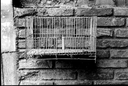 Fotografia de Joaqun Martnez - Galeria Fotografica: Fantasa - Foto: Libertad