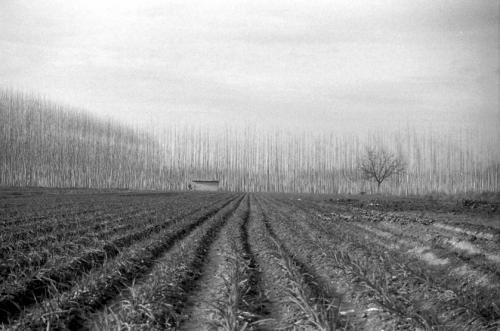 Fotografia de imaginaimagen - Galeria Fotografica: Paisaje - Foto: Fuente Vaqueros