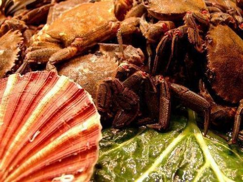 Fotografia de CAPSA MAGICA STUDIO - Galeria Fotografica: algunos trabajos - Foto: Algo Bueno Studio Barcelona