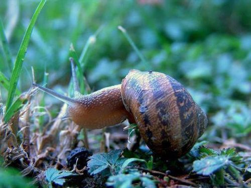 Fotografia de CAPSA MAGICA STUDIO - Galeria Fotografica: algunos trabajos - Foto: 