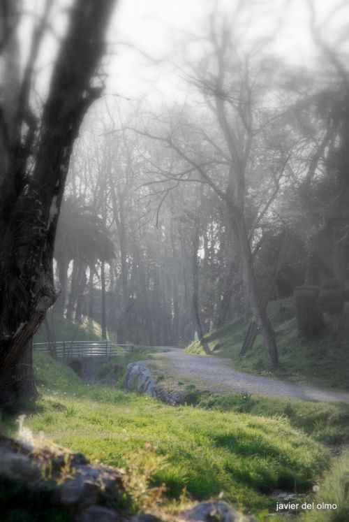 Fotografia de tiri - Galeria Fotografica: ARENA - Foto: ninfas