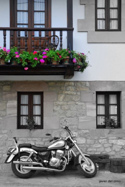 Fotografia de tiri - Galeria Fotografica: ARENA - Foto: mi descanso