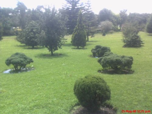 Fotografia de omero guerra - Galeria Fotografica: canpo - Foto: campo