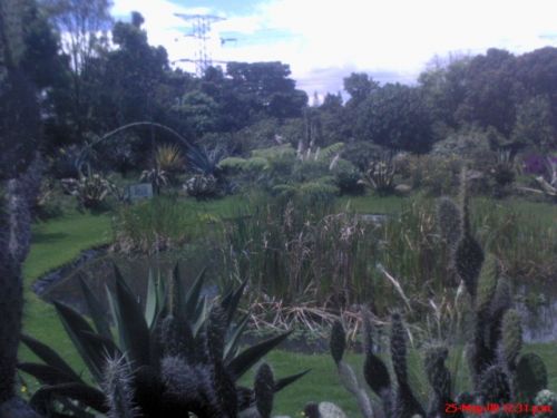 Fotografia de omero guerra - Galeria Fotografica: canpo - Foto: CAMPO 1