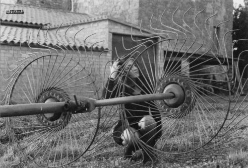 Fotografia de Juankafotos - Galeria Fotografica: Retratos - Foto: 