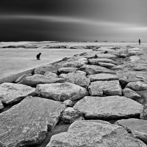 Fotografia de Nitgard / Nit Photography - Galeria Fotografica: Isolats - Foto: Looks