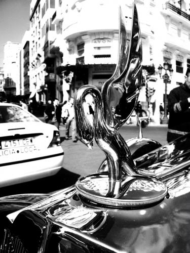 Fotografia de Raulsori - Galeria Fotografica: fotos raul - Foto: 