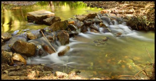 Fotografia de Antonio - Galeria Fotografica: Fotos - Foto: 