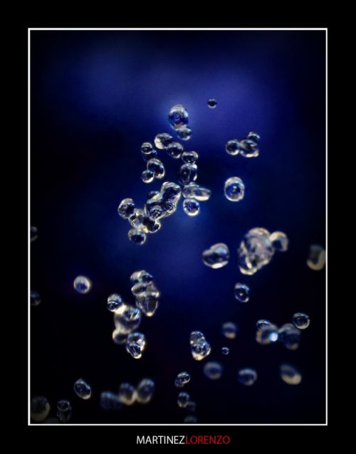 Fotografia de Antonio - Galeria Fotografica: Fotos - Foto: 