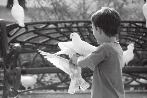 Fotografia de Antonio - Galeria Fotografica: Fotos - Foto: 