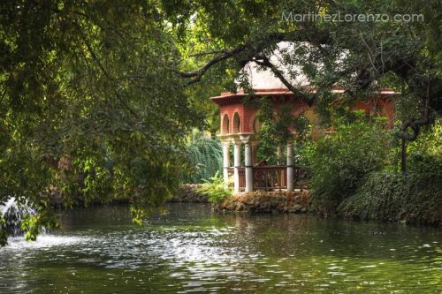 Fotografia de Antonio - Galeria Fotografica: Fotos - Foto: 